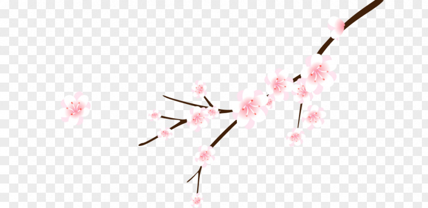 Plum Flower Cherry Blossom Cerasus Branch PNG