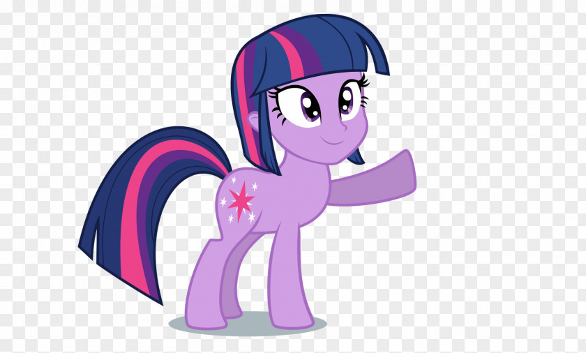 Twilight Sparkle Rarity Rainbow Dash Pony Pinkie Pie PNG
