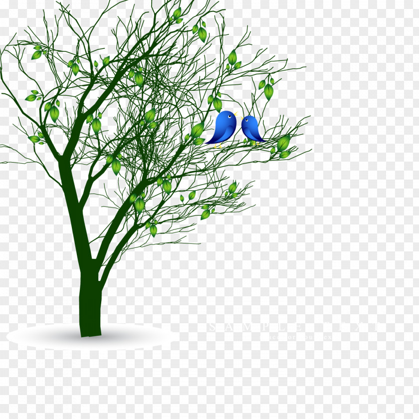 Vector Spring Tree Bird Euclidean PNG