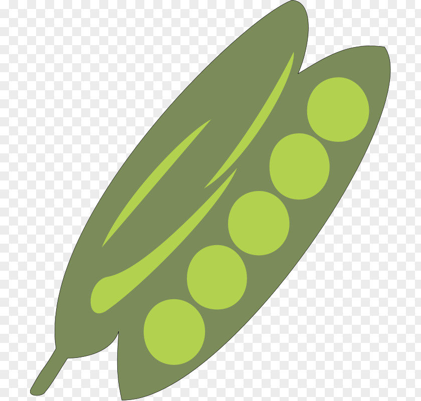 Vegetables Peapod Clip Art PNG