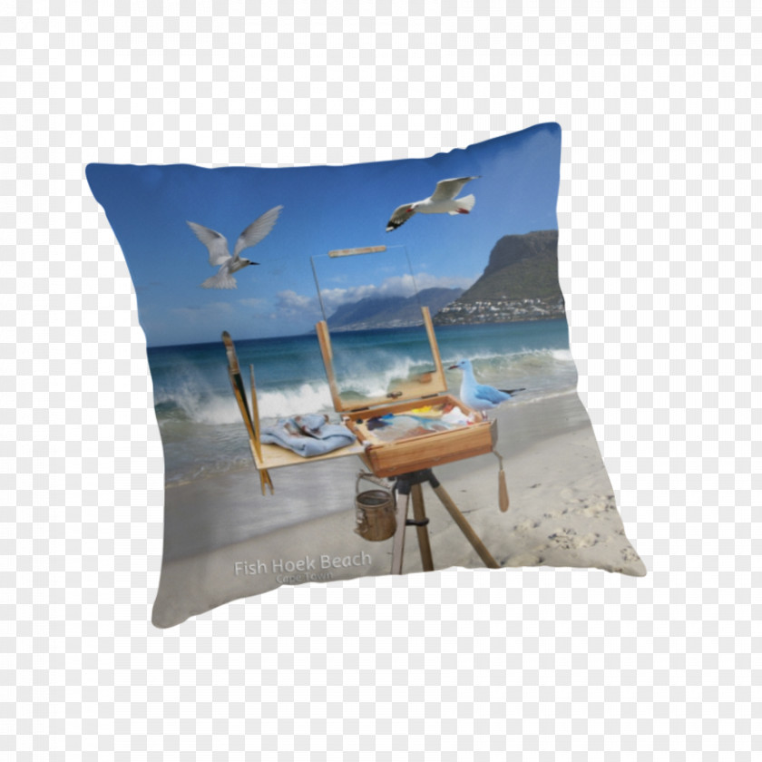 Cape Town Beaches Cushion Throw Pillows PNG