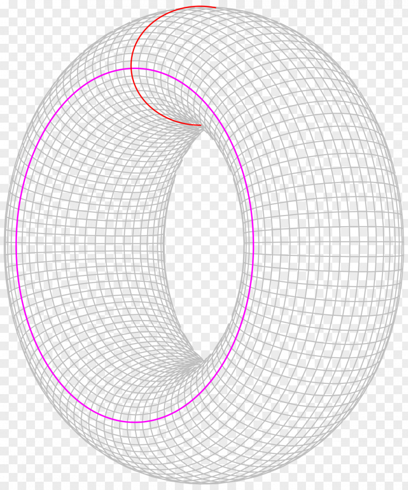 Circle Torus Mathematical Problem Mathematics Collatz Conjecture PNG