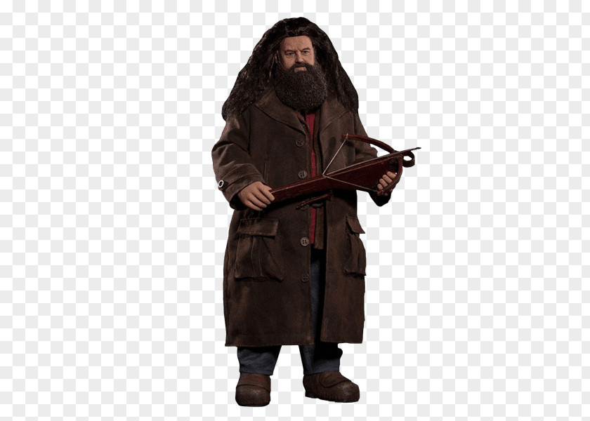Harry Potter Rubeus Hagrid And The Philosopher's Stone Hermione Granger Ron Weasley PNG