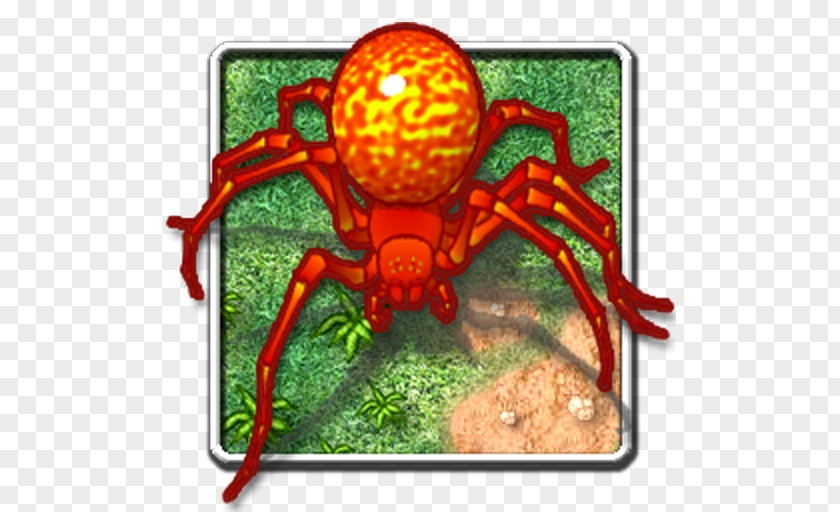 Ibomber Attack Decapoda Arachnid PNG