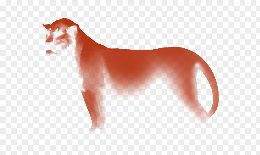 Mid-cover Whiskers Cat Dog Canidae Snout PNG