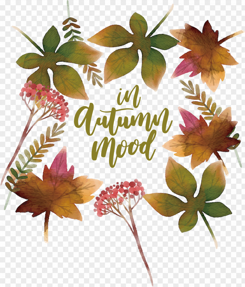 Romantic Little Fresh Autumn Leaves Leaf Watercolor Painting Deciduous PNG