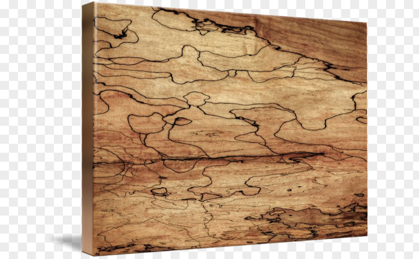 Wood Grain To Background Sugar Maple Spalting Ahornholz PNG