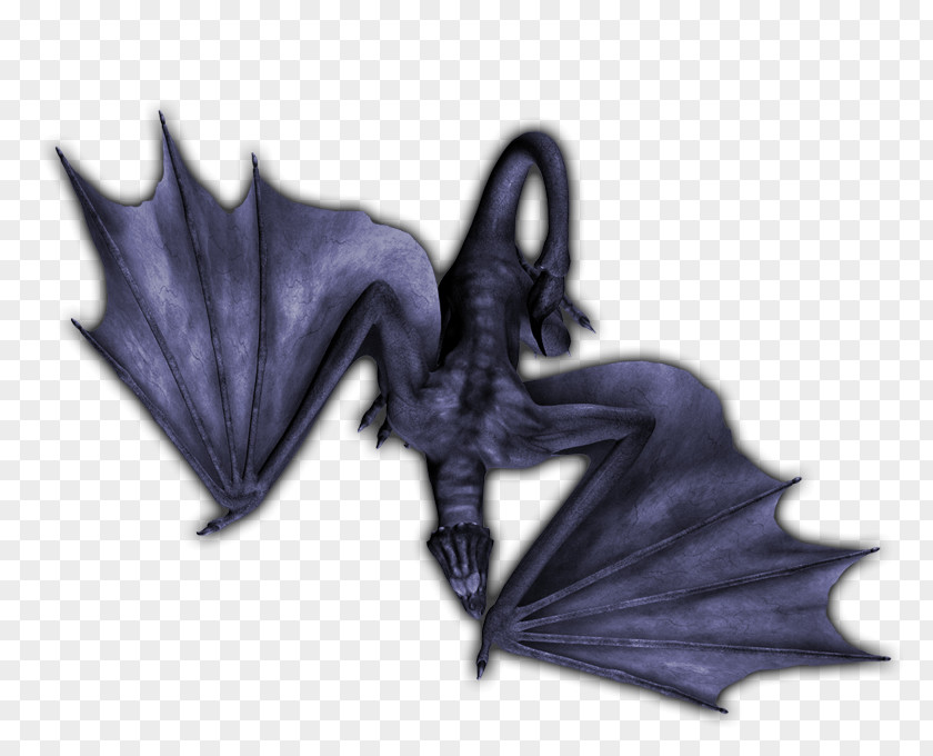 Dragon Wyvern Wingspan Naming Convention PNG