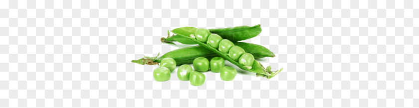 Peas Pod PNG Pod, pea pod clipart PNG