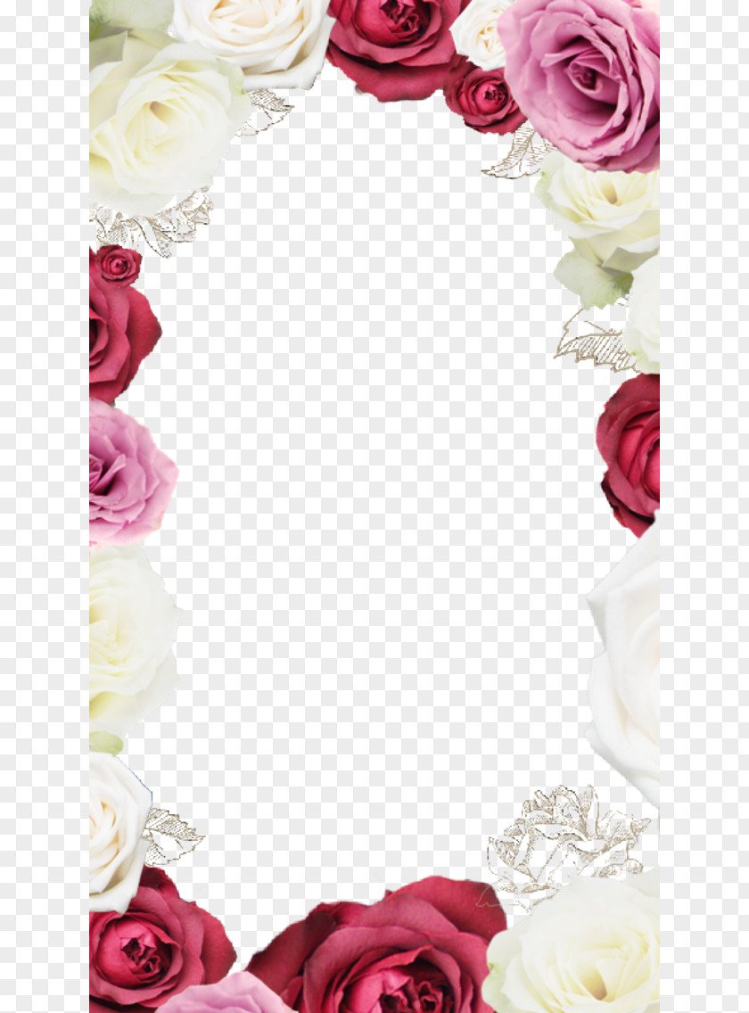 Rose Border Frame Garden Roses Beach Flower Picture PNG