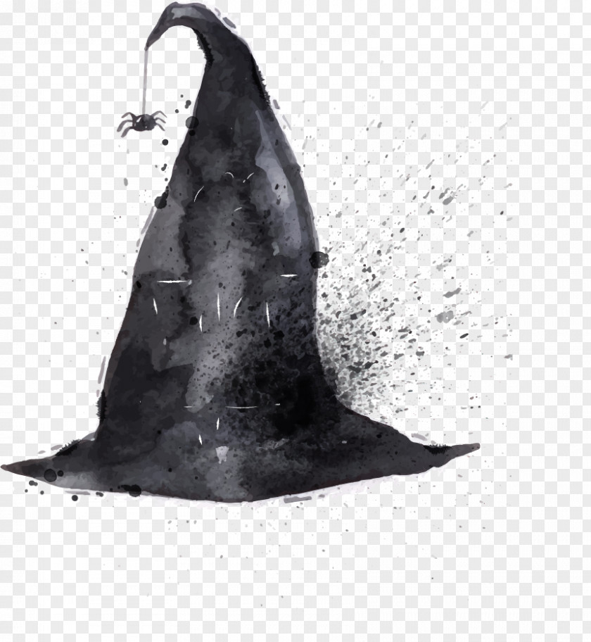 Vector Witch Hat Drawing Witchcraft Illustration PNG