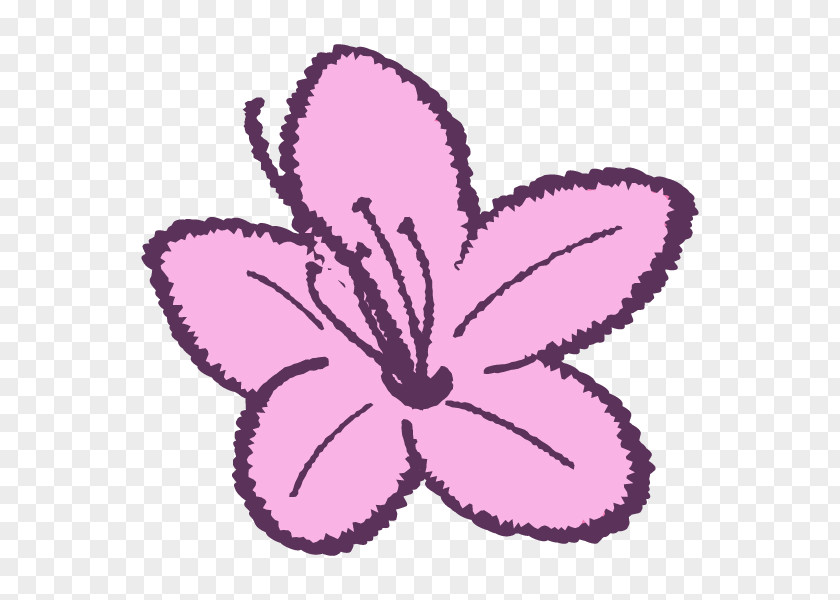 Pink M Flowering Plant Plants M. Butterfly PNG