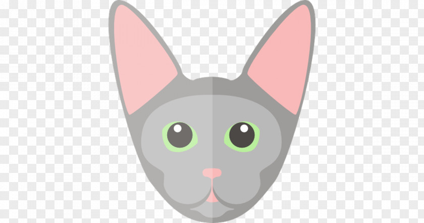 Rabbit Whiskers Sphynx Cat Domestic Japanese Bobtail Chartreux PNG