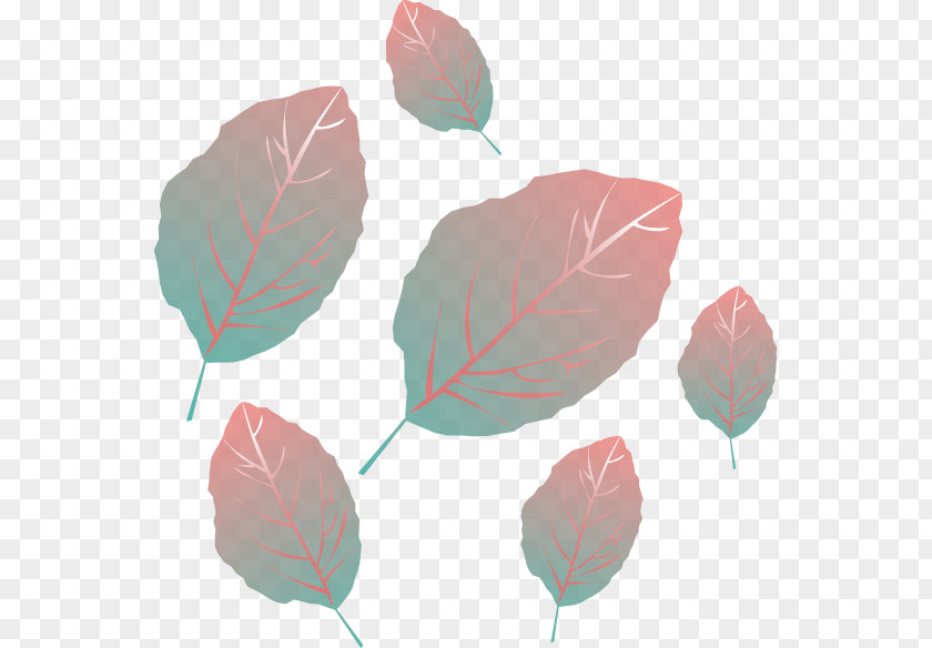 Cartoon Painted Autumn Leaves PNG