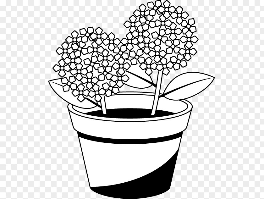 Flower Flowerpot Black And White French Hydrangea Clip Art PNG