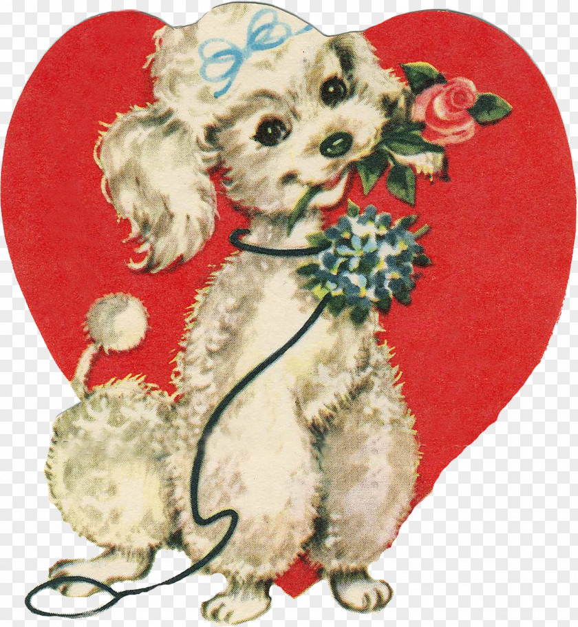 Happy Valentines Day Standard Poodle Pug Dog Biscuit PNG