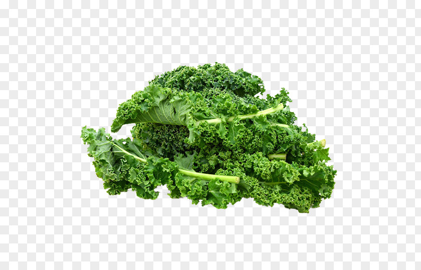 Herb Iceburg Lettuce Vegetables Cartoon PNG