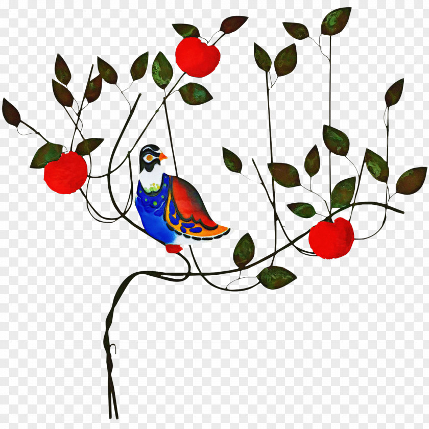 Holly Perching Bird Floral Flower Background PNG