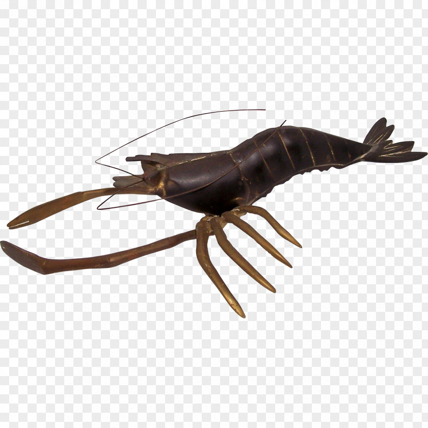 Lobster Insect Animal Source Foods Decapoda Invertebrate Arthropod PNG