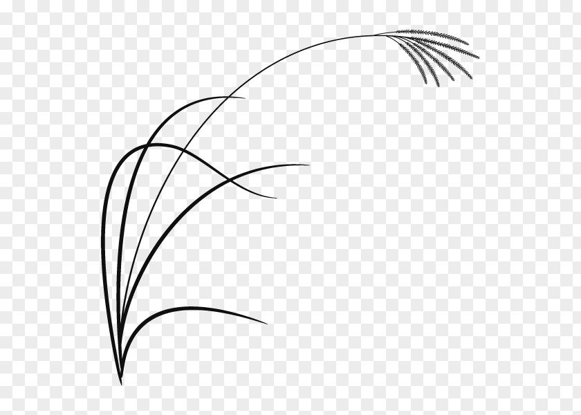 /m/02csf Clip Art Twig Drawing Line PNG