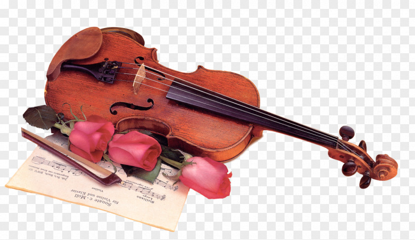Musical Instruments Violin Composer PNG