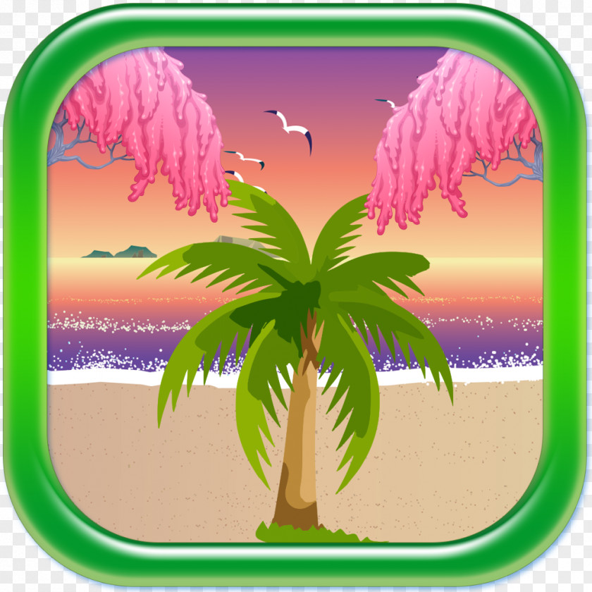 Palm Trees Candy Splash Match 3 Desktop Wallpaper Computer Leaf PNG