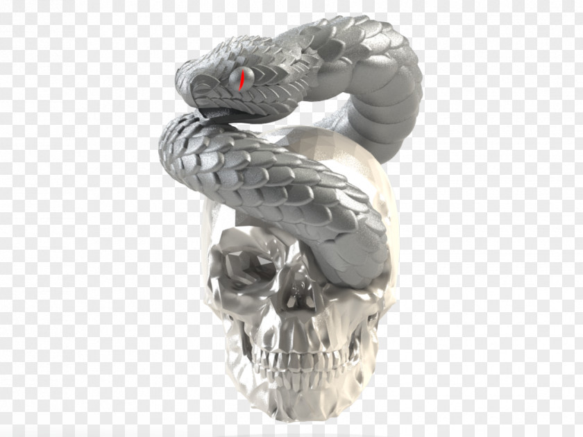 Skull 3d Scaled Reptiles Figurine PNG