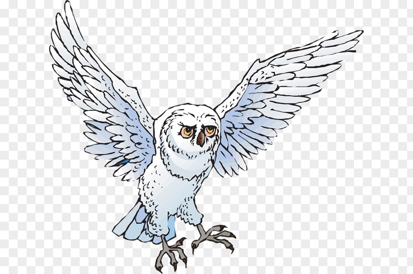 Cute Snowy Cliparts Owl Drawing Clip Art PNG