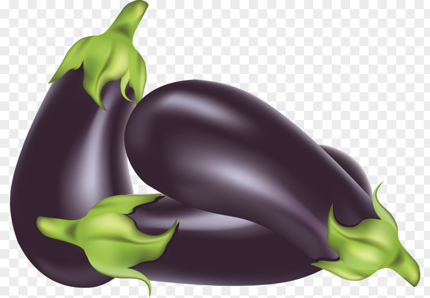 Eggplant Ratatouille Clip Art PNG