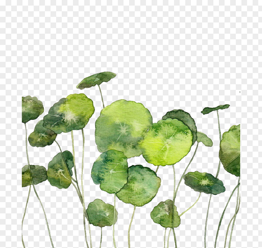 Free Creative Hand-painted Coins Grass To Pull Material Watercolor Painting Illustration PNG