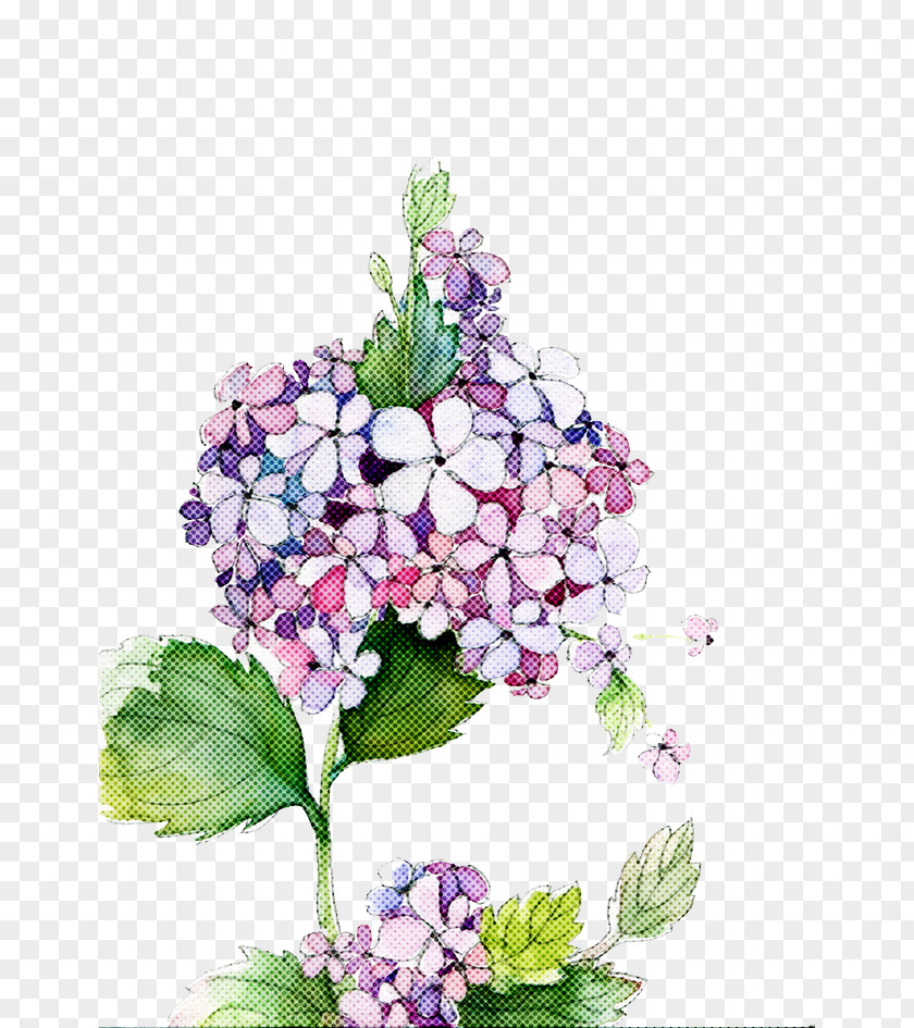 Geranium Lantana Watercolor Flower Background PNG
