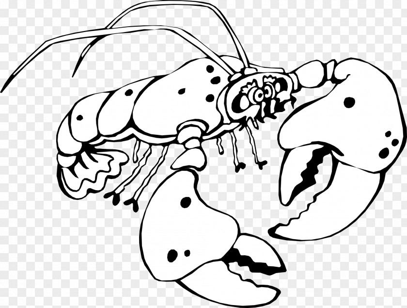 Graphic Lobster Thermidor Crayfish Clip Art PNG