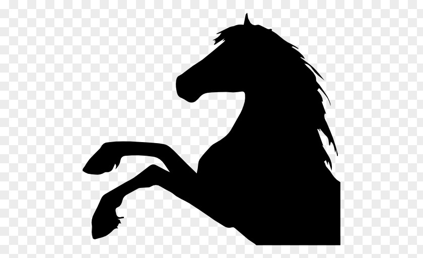 Horse Silhouette Clip Art PNG