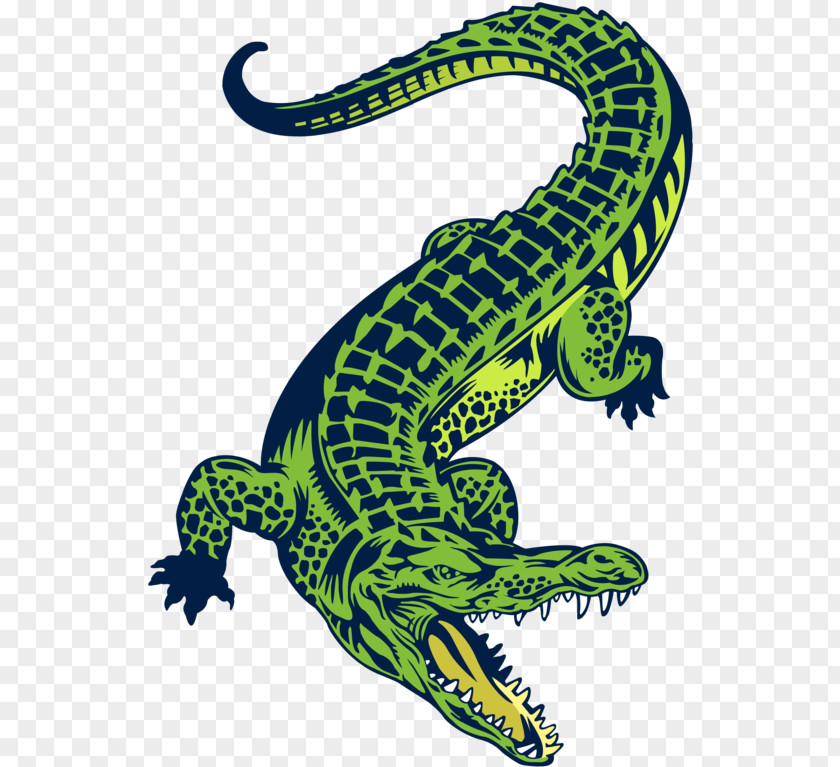 Lizards Tail Clipart Crocodile Reptile Alligators Sticker Art PNG