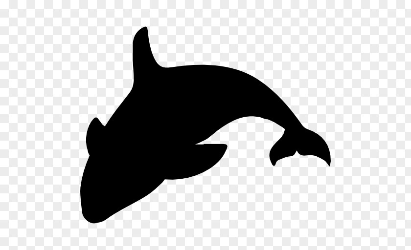 Nature Sea Animals Whale Silhouette Animal Killer Clip Art PNG