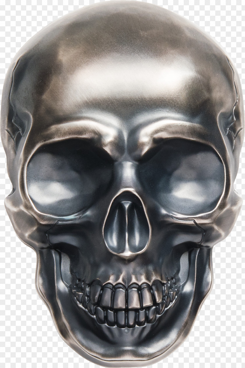 Silver Coin Skull Gold PNG