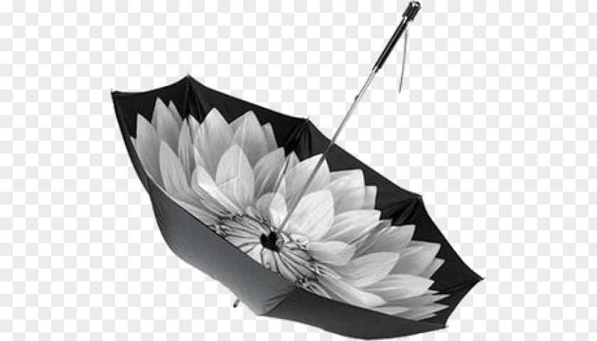 Umbrella Diamond Fashion Parachute The Wanted Things PNG