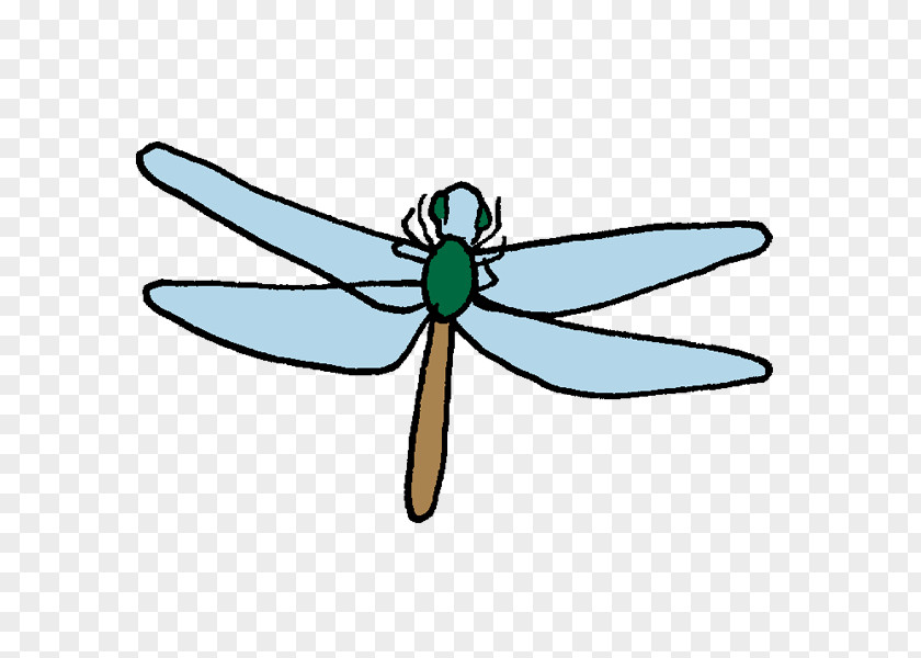 Asaka Insect Illustration Dragonfly Clip Art Ant PNG