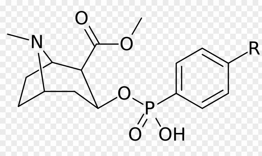 Cocain Phenylboronic Acid Chemical Compound Chemistry Substance Methyl Group PNG