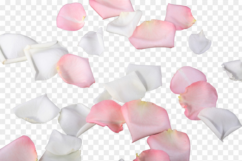 Creative Small Petals Petal Shape Leaf Flower PNG