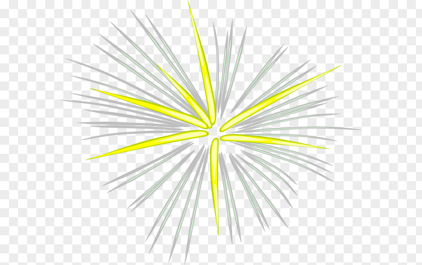 Fireworks Animation Clip Art PNG