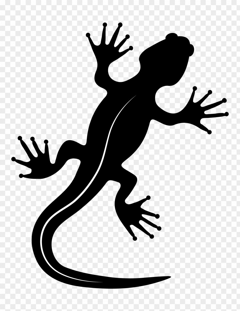 Lizard Clip Art Joint Human Behavior Motion PNG