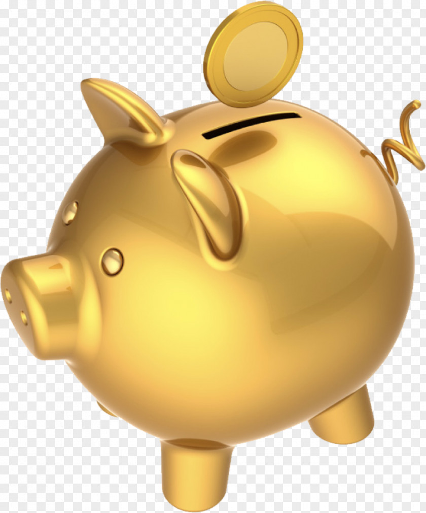 Pig Investment Finance Saving Bank PNG