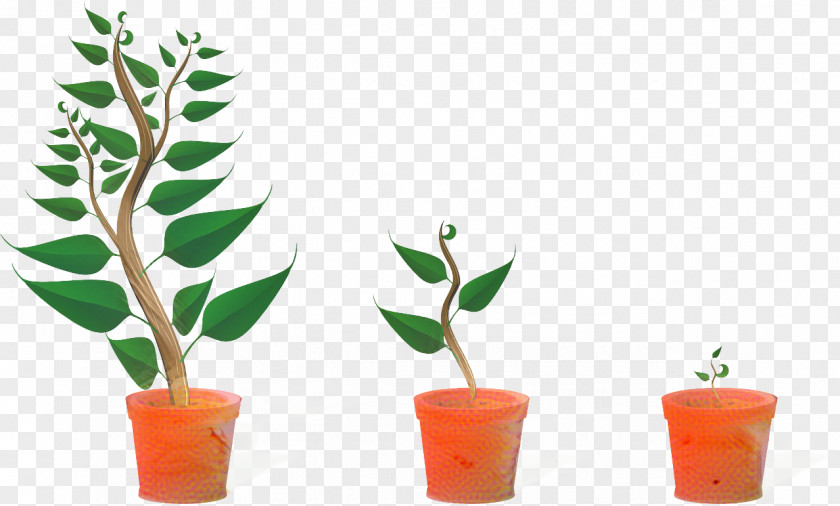 Plant Stem Flower Garden PNG