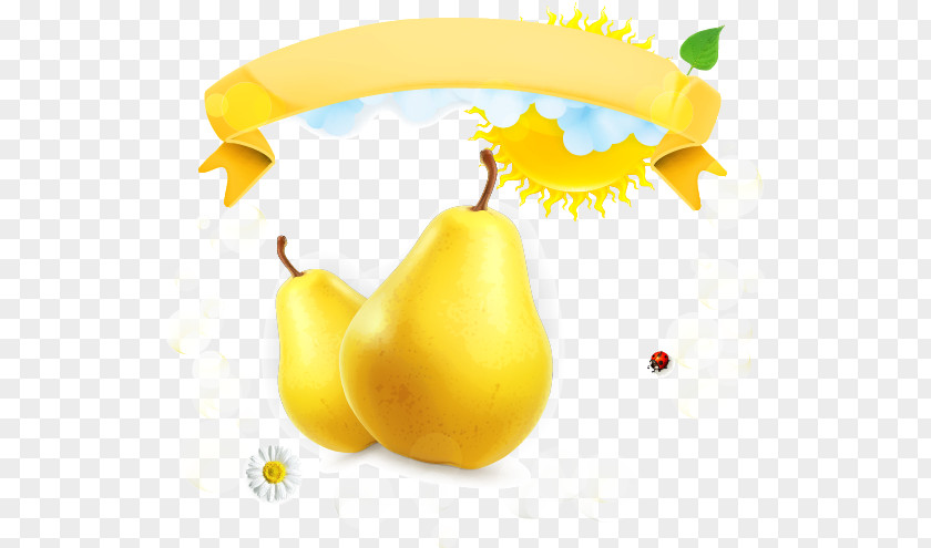 Realistic Pear Adobe Illustrator Auglis PNG