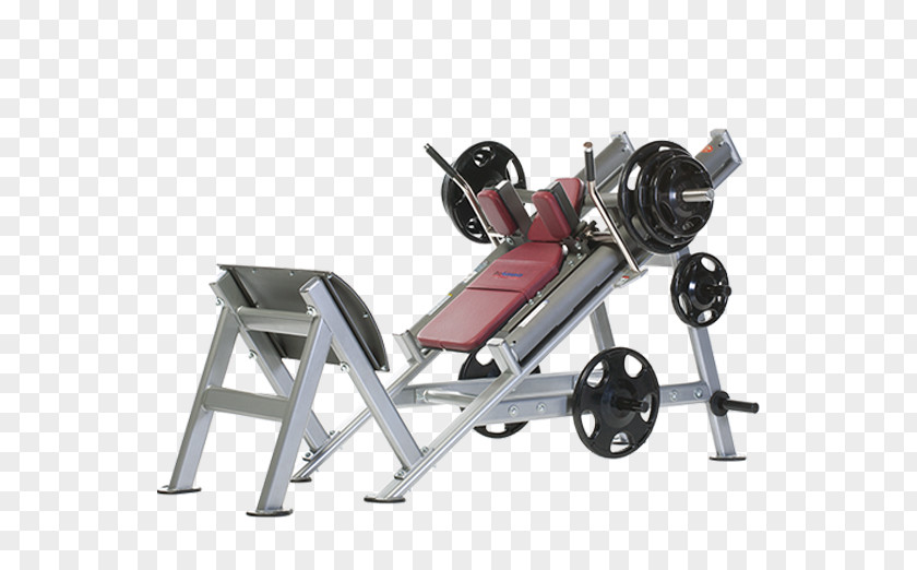 Squat Fitness Faris Group Centre Shop Physical Exercise Equipment PNG