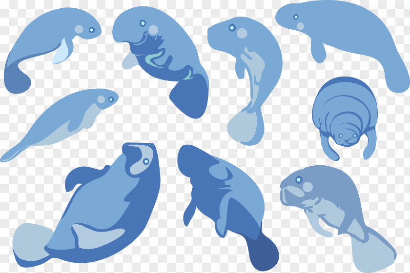 Blue Seal Dolphin Sea Cows Clip Art PNG