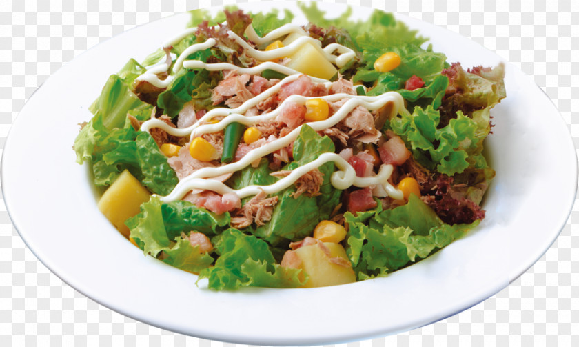 Mayonnaise Salad Caesar Panzanella Tuna Barbecue Vegetarian Cuisine PNG