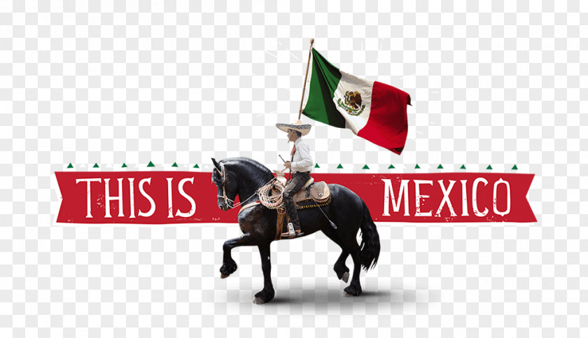 Mexico United States Of America Horse South Logo PNG