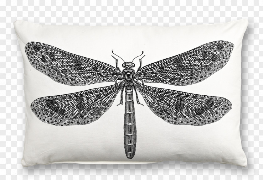Pillow Cushion Interior Design Services Paper Furniture PNG